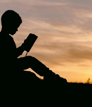 aaron-burden-6jYoil2GhVk-unsplash
